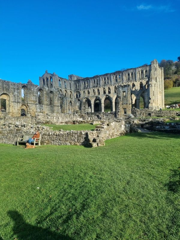 Rievaulx Abbey